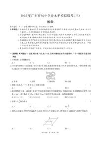 2025年广东东莞中考三模数学试题（含答案）