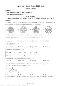 2025年广东省深圳市松泉中学中考数学模拟试卷（含答案）