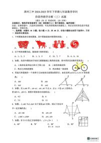 福建省漳州市第三中学2024-2025学年七年级下学期5月月考数学试题