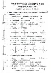 广东省惠州市惠阳区惠华学校2024-2025学年八年级下学期5月月考数学试题