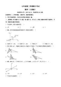 河北省邯郸市2024-2025学年七年级下学期4月期中数学考试卷
