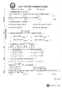 河南省南阳市兴宛学校2024-2025学年七年级下学期5月月考数学试题