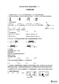 河南省信阳市息县2024-2025学年七年级下学期5月联考数学试题
