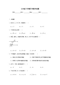 人教版2024七年级下学期月考数学试题及答案2