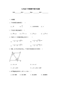 人教版2024七年级下学期期中数学试题及答案1