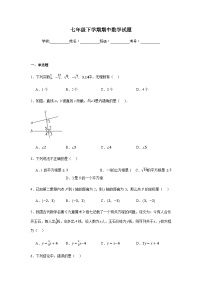 人教版2024七年级下学期期中数学试题及答案3