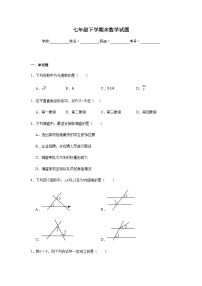 人教版2024七年级下学期期末数学试题及答案3