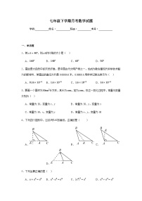 北师大版2024七年级下学期月考数学试题及答案2