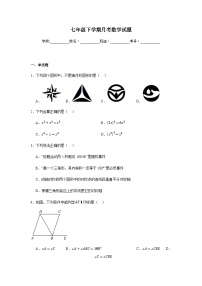北师大版2024七年级下学期月考数学试题及答案4