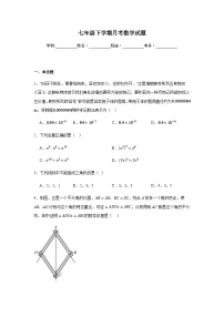 北师大版2024七年级下学期月考数学试题及答案5
