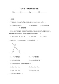 北师大版2024七年级下学期期中数学试题及答案1