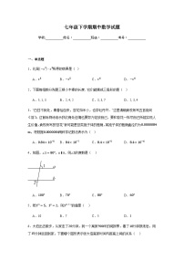 北师大版2024七年级下学期期中数学试题及答案2