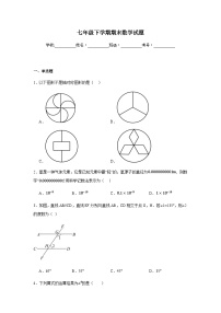 北师大版2024七年级下学期期末数学试题及答案2