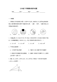 北师大版2024七年级下学期期末数学试题及答案5