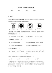 北师大版2024七年级下学期期末数学试题及答案6
