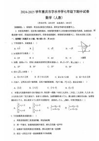 重庆市字水中学2024-2025学年七年级下学期期中考试数学试题（人教版）
