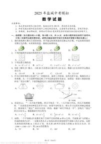 2025年江苏盐城亭湖区九年级中考三模数学试题+答案