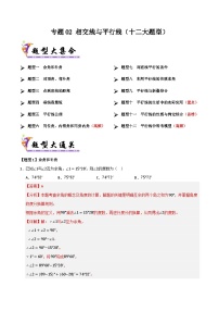 【专题训练】专题02相交线与平行线(考题猜想，十二大题型)(学生版+解析)-2025年七年级数学下学期期末总复习(北师大版)