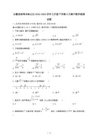 安徽蚌埠蚌山区2024_2025学年七年级第二学期4月期中数学试卷[有答案]
