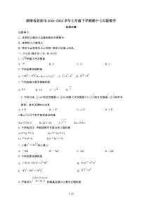 湖南益阳2024_2025学年七年级第二学期期中七年级数学试卷[有答案]