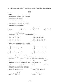 四川眉山东坡区2024_2025学年七年级第二学期4月期中数学试卷[有答案]