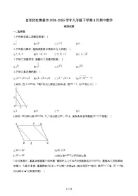 新疆维吾尔自治区吐鲁番2024_2025学年八年级第二学期4月期中数学试卷[附解析]