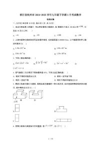 浙江杭州2024_2025学年九年级第二学期3月考试数学试卷[有答案]