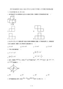 四川成都2024_2025学年九年级第二学期3月考数学试卷[有答案]