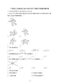 广东江门新会区2024_2025学年第二学期七年级期中数学卷[有答案]