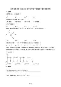 江西南昌2024_2025学年七年级第二学期期中数学试卷[附解析]