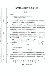 2025年河南省驻马店市驻马店实验中学、市四中等部分学校联考三模数学试题（中考模拟）