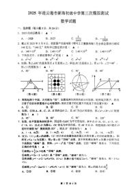 2025年江苏省连云港市新海初级中学九年级数学第三次模拟试题（中考模拟）