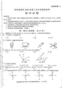 2025年陕西省宝鸡市渭滨区九年级中考二模数学试题（中考模拟）