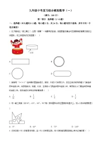 2025年广东省深圳市龙岗区宏扬学校中考模拟预测数学试题（中考模拟）
