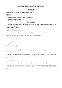 2025年河北省沧州市献县初中毕业生中考模拟考试 数学试题（中考模拟）