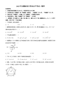 2025年安徽省合肥市部分学校九年级中考三模联考数学试卷（中考模拟）