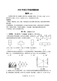 2025年深圳市多校初三中考模拟质量检测数学试卷含答案