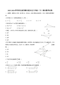 河北省邯郸市肥乡区2023-2024学年八年级下学期期末考试数学试卷(含答案)