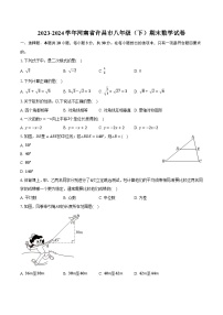 河南省许昌市2023-2024学年八年级下学期7月期末考试数学试卷(含答案)
