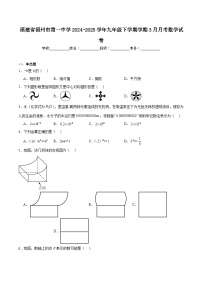 福建省福州第一中学2025届九年级下学期学期3月月考数学试卷(含解析)