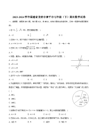 福建省龙岩市漳平市2023-2024学年七年级下学期期末考试数学试卷