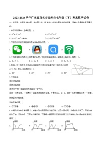 广东省茂名市高州市2023-2024学年七年级下学期期末考试数学试卷(含答案)