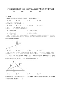 广东省茂名市高州市2024-2025学年八年级下学期3月月考数学试卷(含解析)