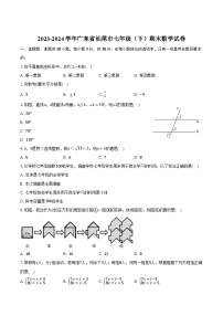 广东省汕尾市2023-2024学年七年级下学期7月期末考试数学试卷(含答案)