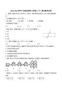 广东省汕尾市2023-2024学年七年级下学期7月期末考试数学试卷(含答案)