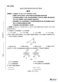 2025年河北省邯郸市武安市贺进镇翟家庄中学、沙名中学联考中考二模数学试题（中考模拟）