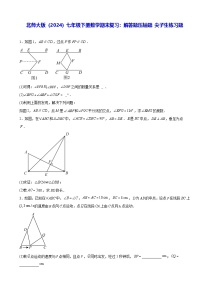 北师大版（2024）七年级下册数学期末复习：解答题压轴题 尖子生练习题（含答案解析）