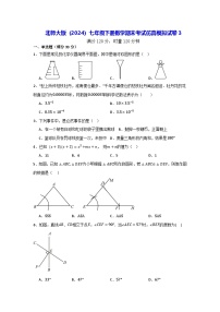 北师大版（2024）七年级下册数学期末考试仿真模拟试卷3（含答案解析）