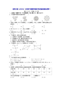 北师大版（2024）七年级下册数学期末考试强化模拟试卷1（含答案）