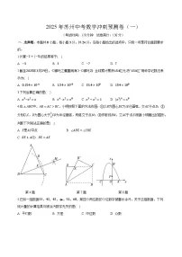2025年江苏省苏州市中考数学冲刺预测卷（一）及答案